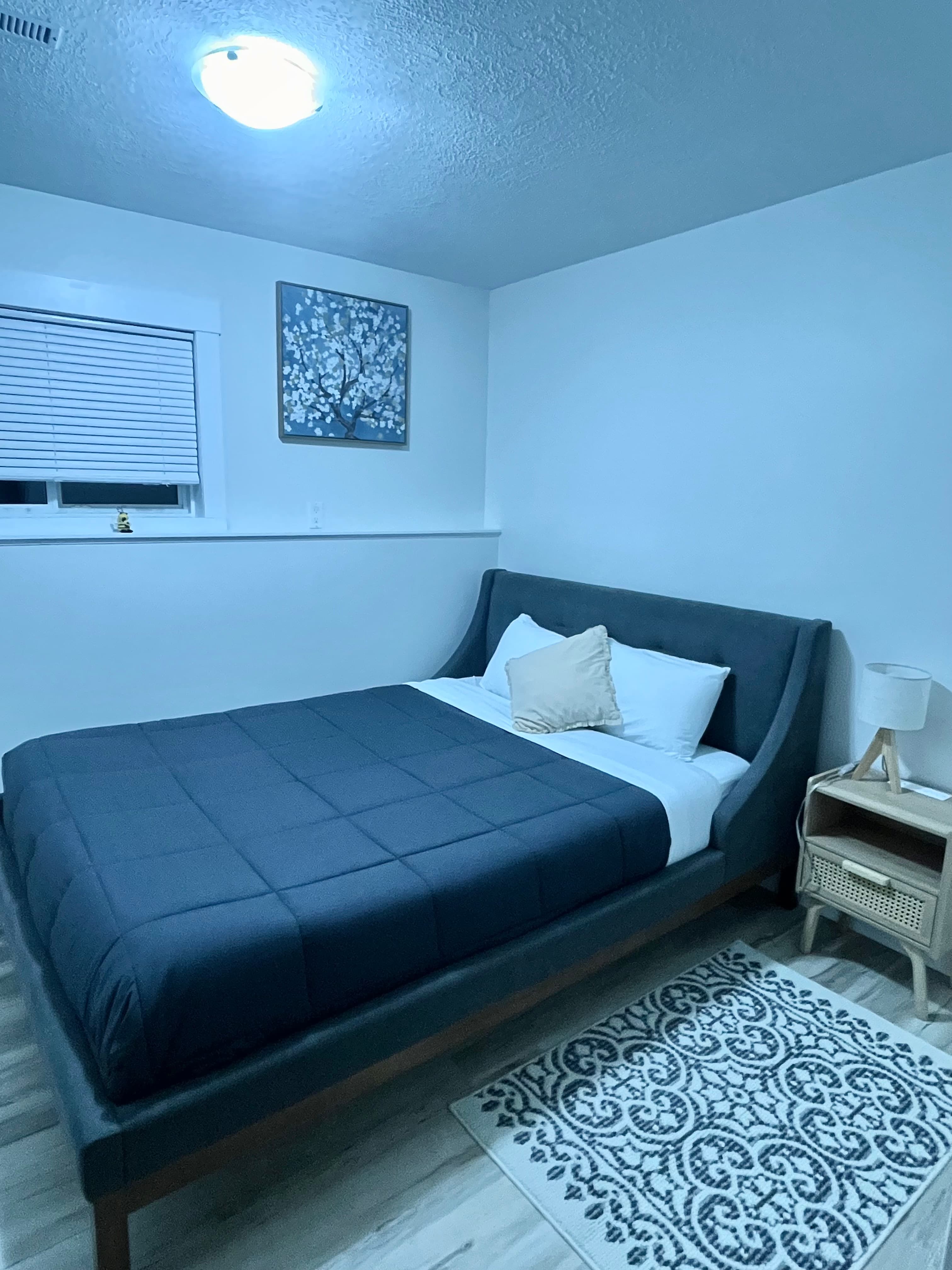 Casa Michaud guest basement - Photo 4